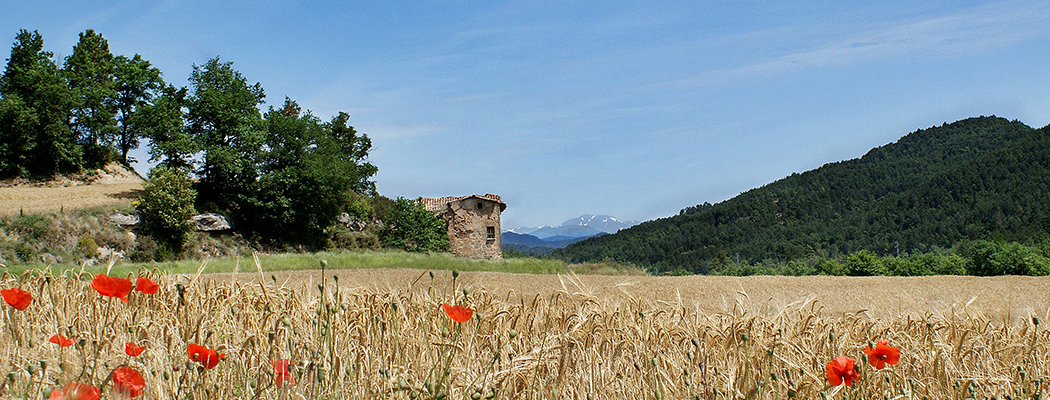 Lluçanès turisme